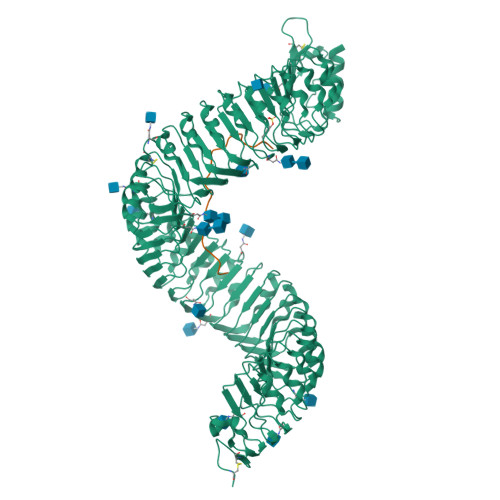 RCSB PDB - 6S6Q: Crystal Structure Of The LRR Ectodomain Of The Plant ...