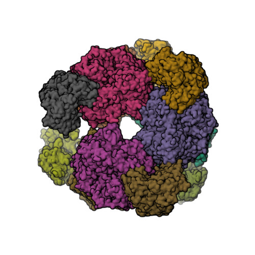 RCSB PDB - 6S6X: Structure of Azospirillum brasilense Glutamate 