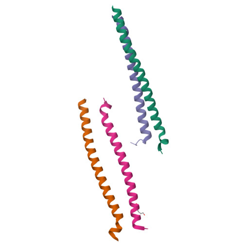 RCSB PDB - 6S8X: Crystal structure of the Rab-binding domain of FIP2