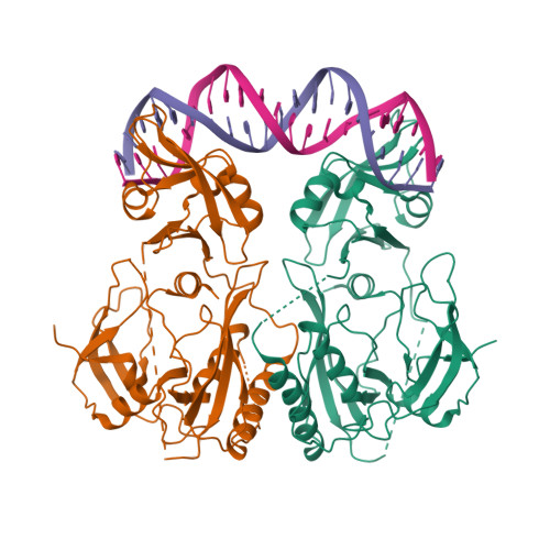 RCSB PDB - 6SDG: Crystal structure of the DNA binding domain of M