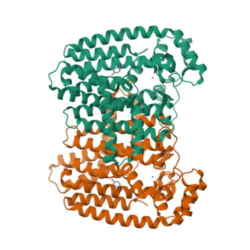 Rcsb Pdb 6sdp Trypanosoma Cruzi Farnesyl Diphosphate Synthase In Complex With Fragment 4np 1757