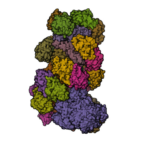 RCSB PDB - 6SIC: Cryo-EM structure of the Type III-B Cmr-beta bound to ...