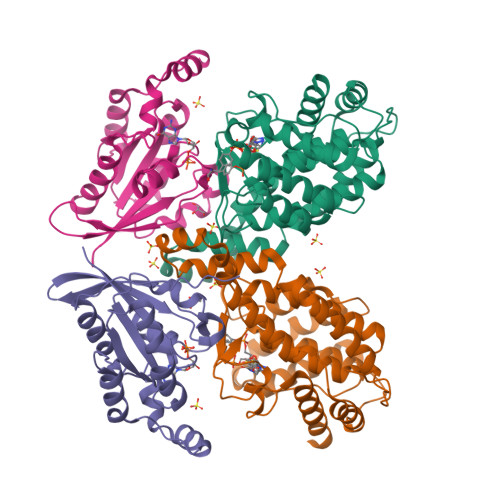 Siu Structure RCSB PDB - 6SIU: Crystal structure of IbpAFic2 covalently tethered to Cdc42