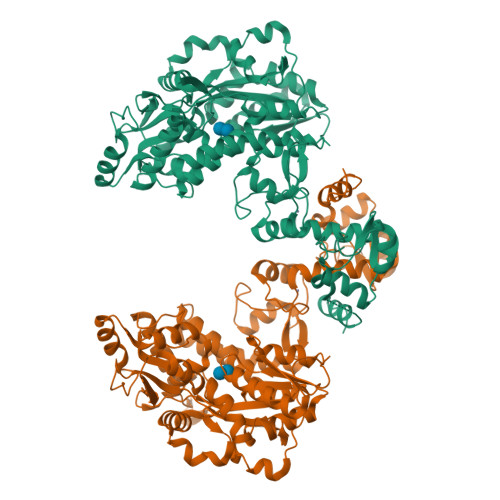 【SSソフト】VIRUS RCSB PDB - 6SJV: Structure of HPV18 E6 oncoprotein in