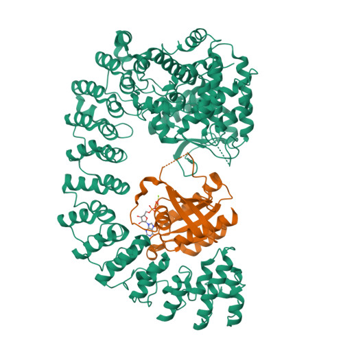 RCSB PDB - 6SKU: Legionella effector AnkX in complex with human Rab1b