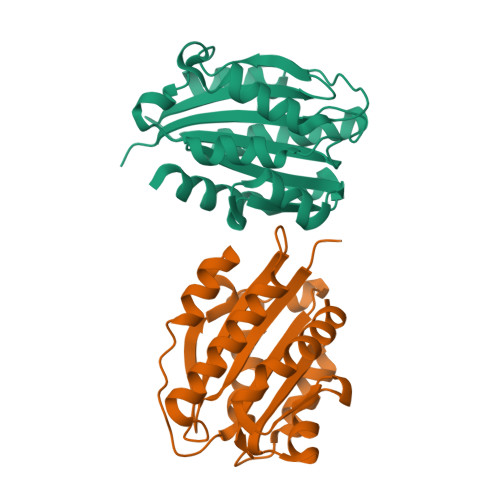 KKK★ Amazon.com: Starrett Lock Bolt Assembly for 6