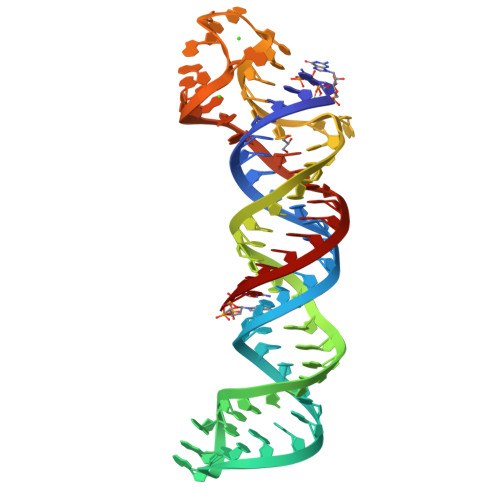 RCSB PDB 6SVS Crystal Structure of UAUrich RNA triple helix with