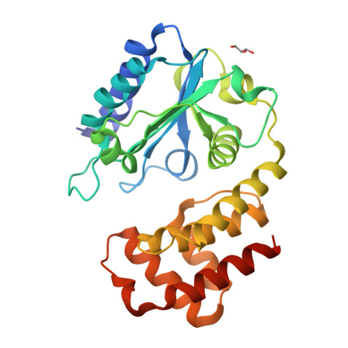 RCSB PDB - 6SXJ: Crystal structure of spectinomycin adenyltransferase ...