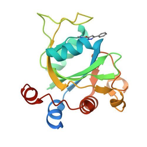 RCSB PDB - 6T0D: Crystal structure of YTHDC1 with fragment 27 (DHU_DC1_256)