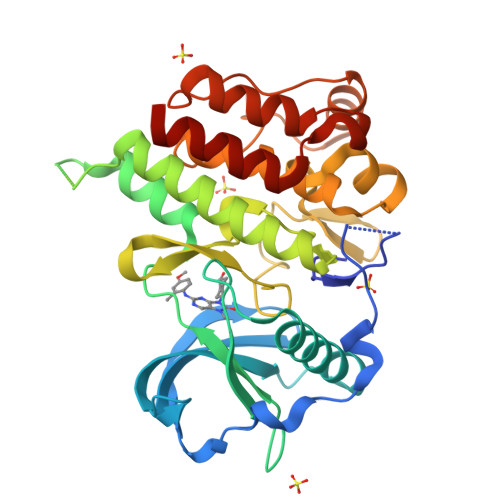 RCSB PDB - 6T2W: Crystal structure of the CSF1R kinase domain with a ...