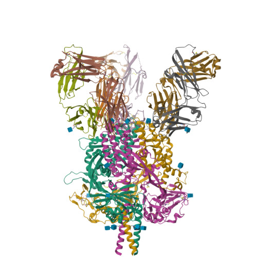 RCSB PDB - 6T3F: Crystal structure Nipah virus fusion