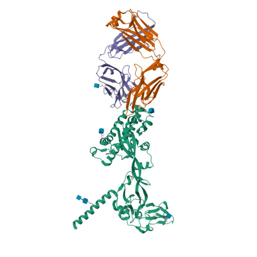 RCSB PDB - 6T3F: Crystal structure Nipah virus fusion