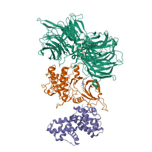 ビルバック KIDNEY 6td3_assembly-3.jpeg
