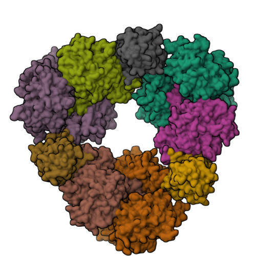 DCC ディープチェンジクレアチン RCSB PDB - 6TD3: Structure of DDB1 bound to CR8-engaged CDK12-cyclinK