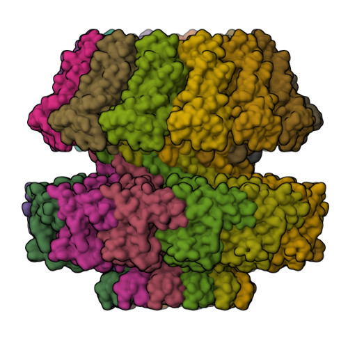 RCSB PDB - 6TE8: Neck of native GTA particle computed with C12