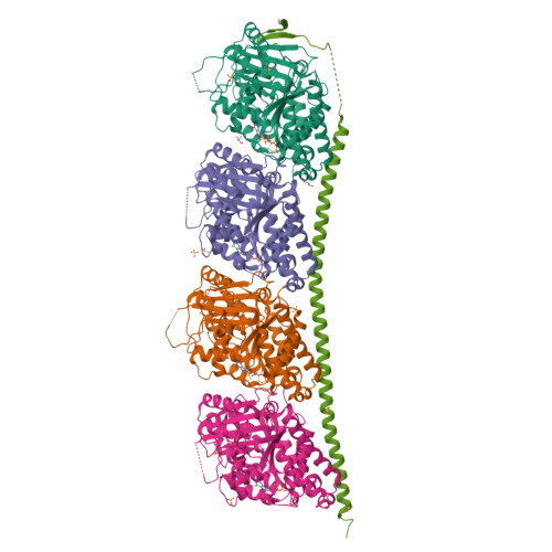 RCSB PDB - 6TIZ: DROSOPHILA GDP-TUBULIN Y222F MUTANT