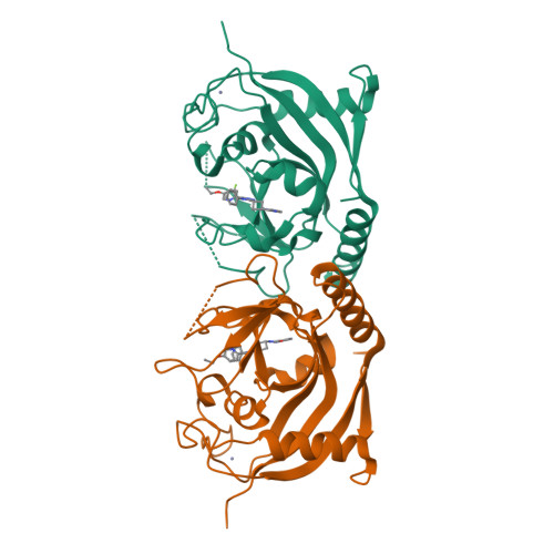 RCSB PDB - 6TKR: Tankyrase 2 in complex with an inhibitor (OM-1704)