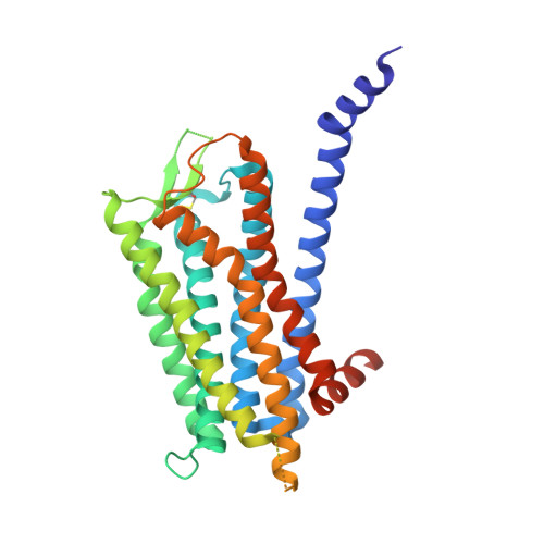 RCSB PDB - 6TQ4: Crystal structure of the Orexin-1 receptor in 