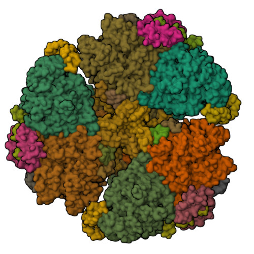 RCSB PDB - 6TRD: Cryo- EM structure of the Thermosynechococcus ...