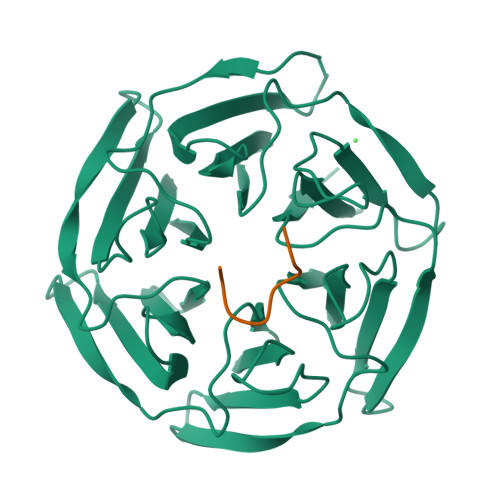 RCSB PDB - 6TTK: Crystal structure of the kelch domain of