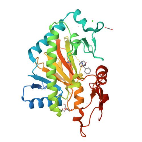 RCSB PDB - 6TTM: Hyoscyamine 6-hydroxylase In Complex With N ...