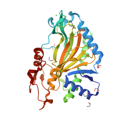 RCSB PDB - 6TTO: N-terminally truncated hyoscyamine 6-hydroxylase (tH6H ...