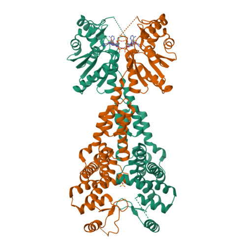 RCSB PDB - 6TUG: Enterococcus italicus Csm6 bound to cyclic hexa-2 ...