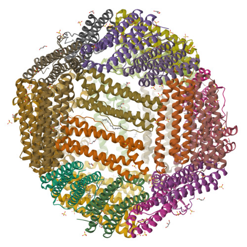 RCSB PDB - 6TXM: Crystal Structure Of Thermotoga Maritima E65R Ferritin