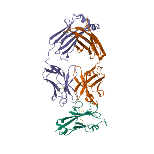 RCSB PDB - 6TXZ: FAB PART OF M6903 IN COMPLEX WITH HUMAN TIM3