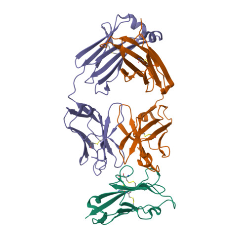 RCSB PDB - 6TXZ: FAB PART OF M6903 IN COMPLEX WITH HUMAN TIM3