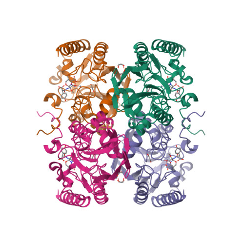 RCSB PDB - 6U13: Crystal Structure of the metallo-beta-lactamase