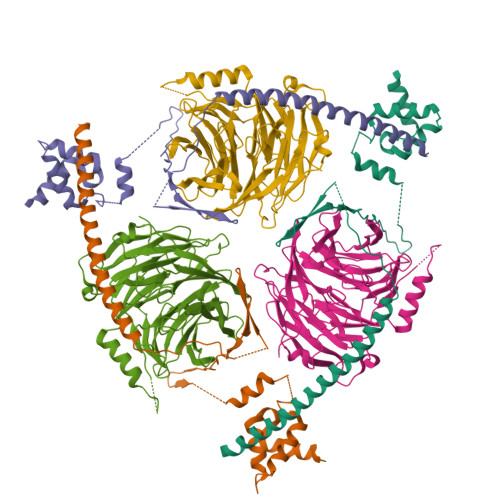 RCSB PDB - 6U4Y: Crystal Structure of an EZH2-EED Complex in