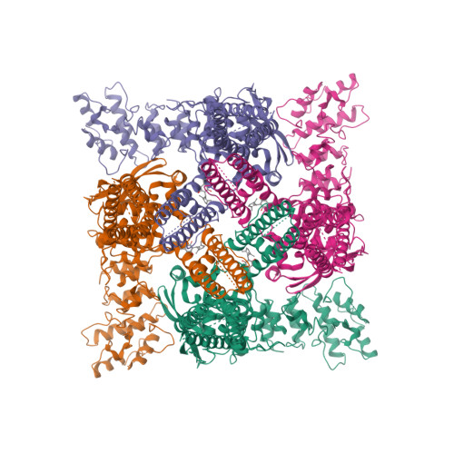 RCSB PDB - 6U8A: CBD-bound full-length rat TRPV2 in nanodiscs, state 1