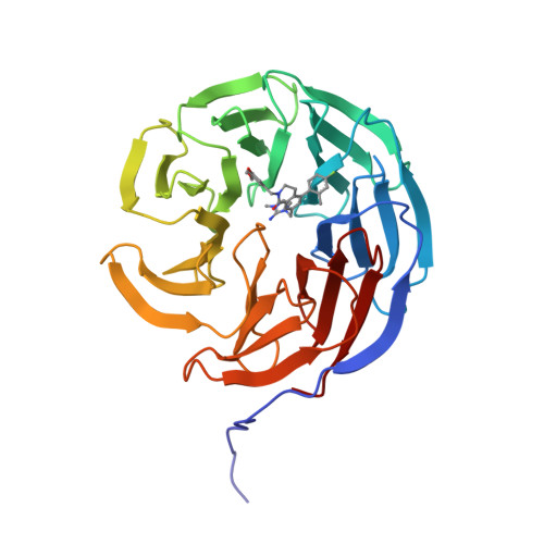 Rcsb Pdb Ucs Discovery And Structure Based Optimization Of Potent