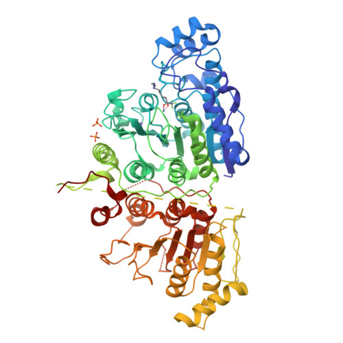 RCSB PDB - 6UIL: Crystal Structure of Danio rerio Histone Deacetylase ...