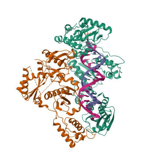 M184v Reverse Transcriptase RCSB PDB - 6UIR: HIV-1 M184V reverse transcriptase-DNA complex with ...