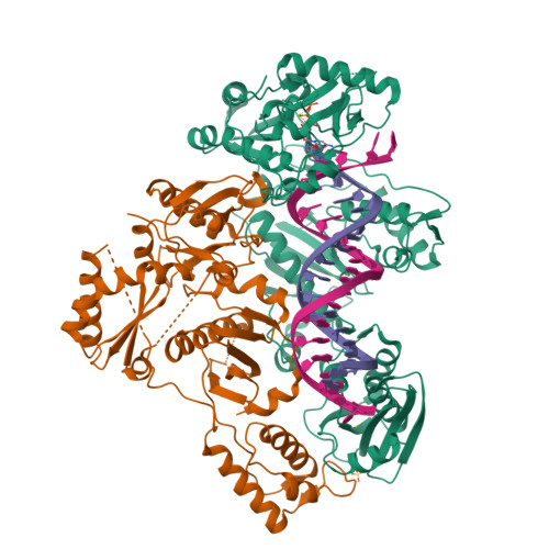 M184v Reverse Transcriptase RCSB PDB - 6UIS: HIV-1 M184V reverse transcriptase-DNA complex with dCTP