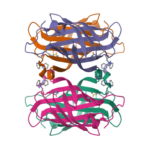 RCSB PDB - 6UIU: Artificial Iron Proteins: Modelling the Active