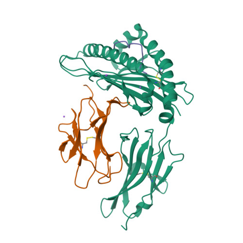 RCSB PDB - 6UJ7: Crystal Structure Of HLA-B*07:02 With R140Q Mutant ...