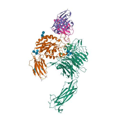 RCSB PDB - 6UJB: Integrin alpha-v beta-8 in complex with the Fabs 