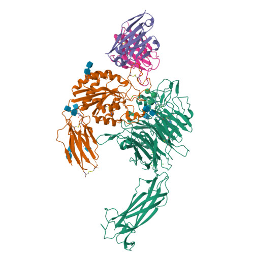 RCSB PDB - 6UJB: Integrin alpha-v beta-8 in complex with the Fabs 