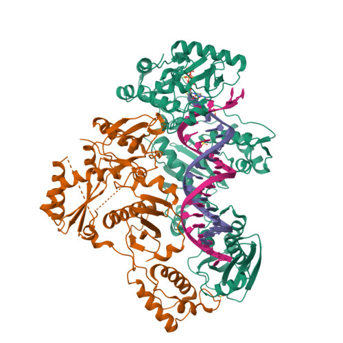 RCSB PDB - 6UJX: HIV-1 wild-type reverse transcriptase-DNA complex
