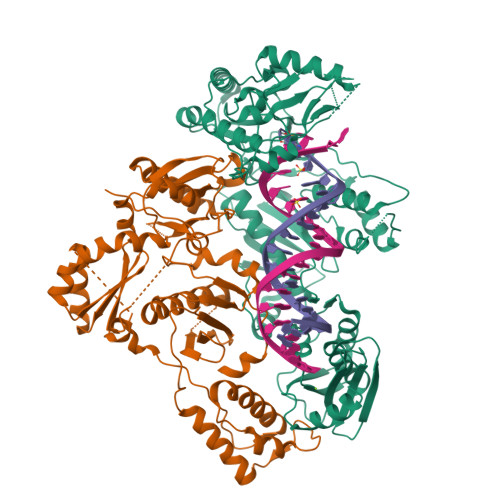 M184v Reverse Transcriptase RCSB PDB - 6UK0: HIV-1 M184V reverse transcriptase-DNA complex