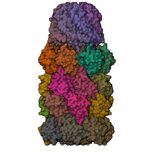 RCSB PDB - 6UTJ: Allosteric couple between alpha rings of the 20S