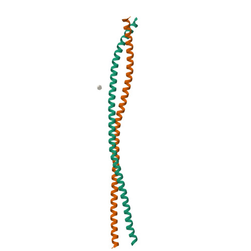 RCSB PDB - 6UUI: Crystal structure of the heterocomplex between