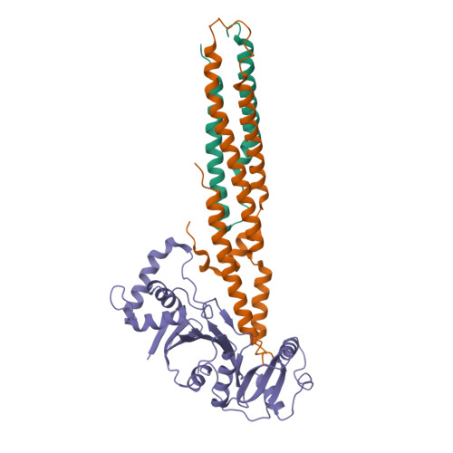 RCSB PDB - 6UUJ: Structure of PE5-PPE4-EspG3 complex from