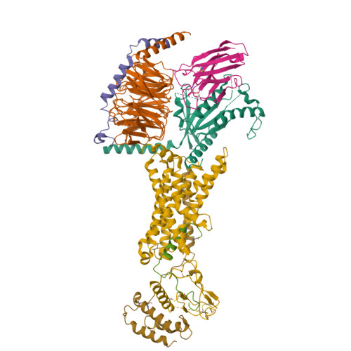 PDB 6UUS