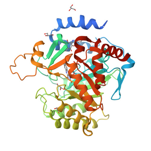 Dihydroorotate dehydrogenase (quinone), mitochondrial structure