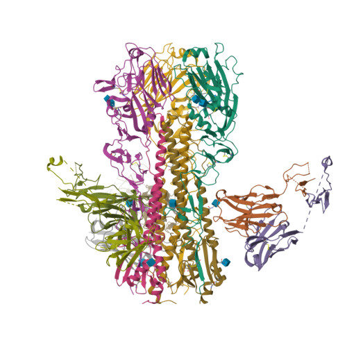 RCSB PDB - 6UYN: Crystal Structure Of Influenza A Virus Hemagglutinin ...