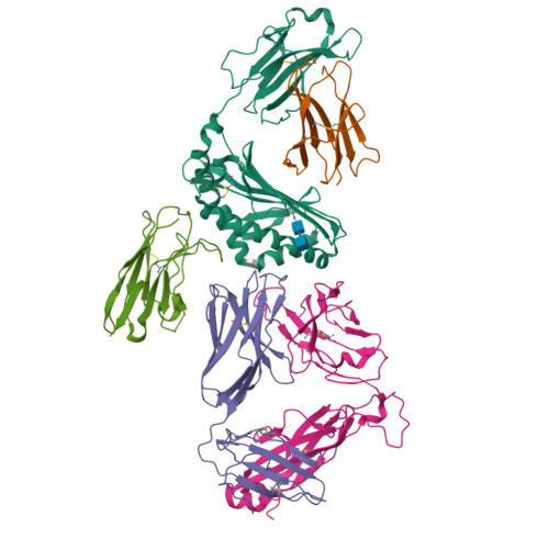 RCSB PDB - 6V80: Crystal structure of human CD1d presenting alpha